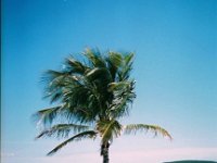 photos 2000-200901198